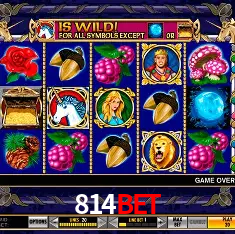 814bet Rio de Janeiro - Professional Dealers